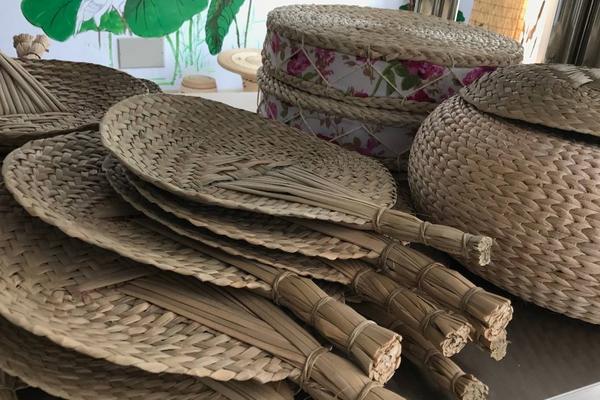 玉米皮和蒲草區(qū)別