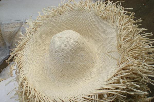 玉米皮和蒲草區(qū)別