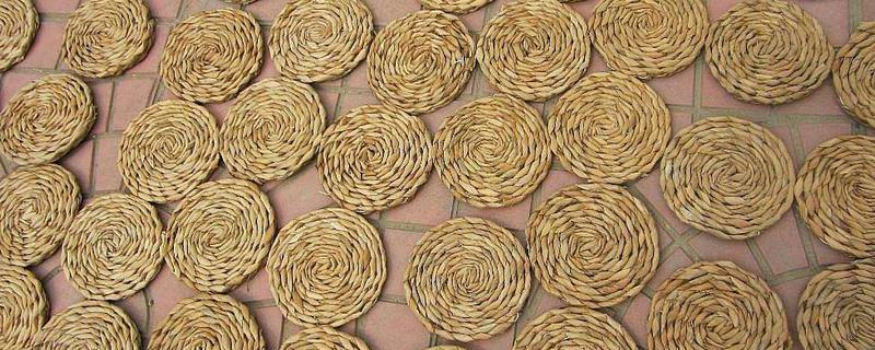 玉米皮和蒲草區別