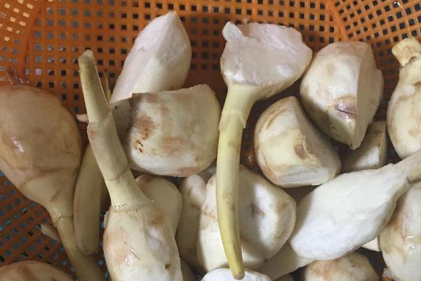 茨菇多少錢一斤