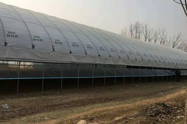 養(yǎng)鴨棚用什么消毒