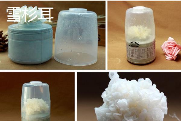 雪杉耳和銀耳的區別是什么