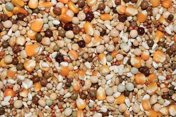 豬飼料有哪幾種