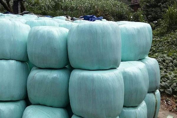 豬飼料有哪幾種