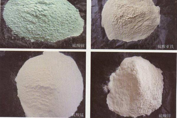 豬飼料有哪幾種