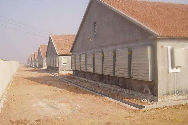 肉雞養(yǎng)殖雞舍建設(shè)