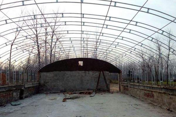 肉雞養殖大棚應怎么建