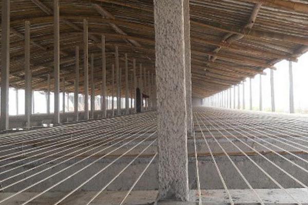 肉雞養殖大棚應怎么建