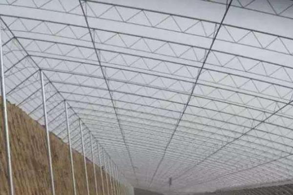 肉雞養殖大棚應怎么建