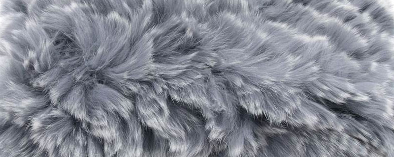 獺兔毛和貉子毛哪個好