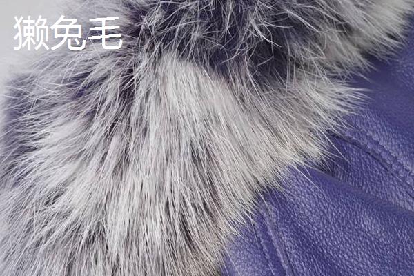 獺兔毛和貉子毛哪個好