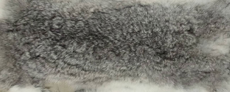 獺兔毛皮草一般多少錢