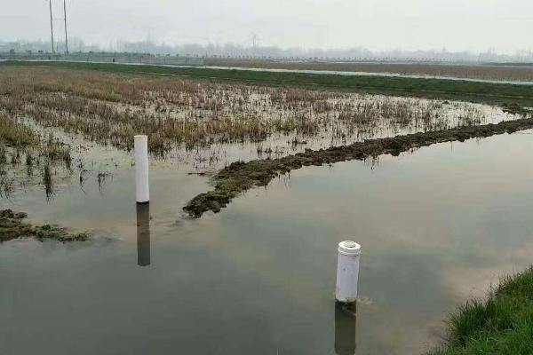 小龍蝦如何養殖