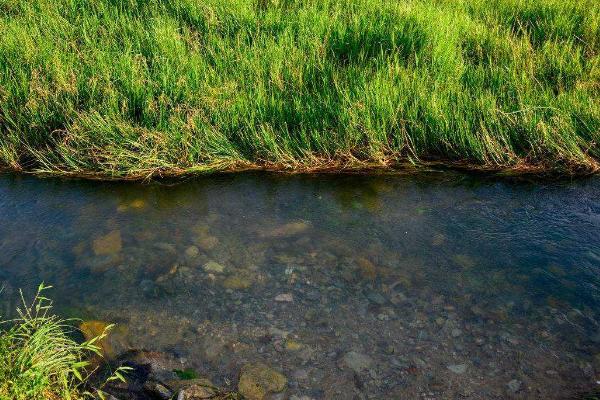 養小龍蝦的池塘怎么挖