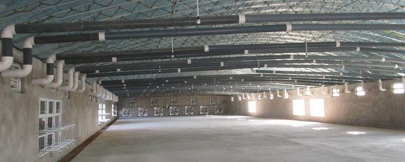 肉雞養(yǎng)殖大棚應(yīng)怎么建