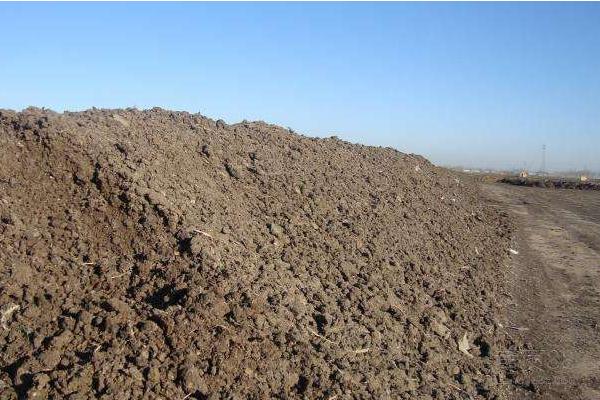 雞糞的自然腐熟方法