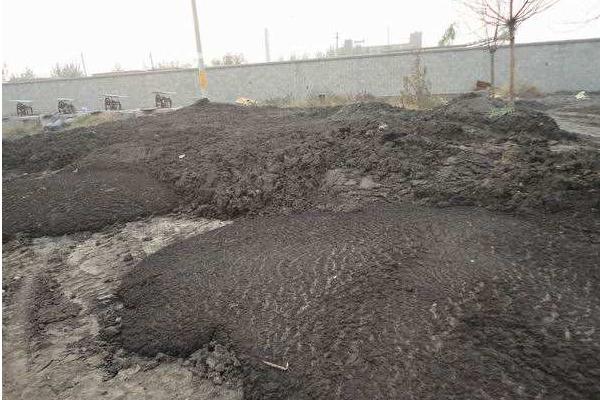 雞糞的自然腐熟方法