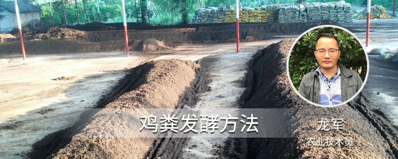 雞糞發(fā)酵方法