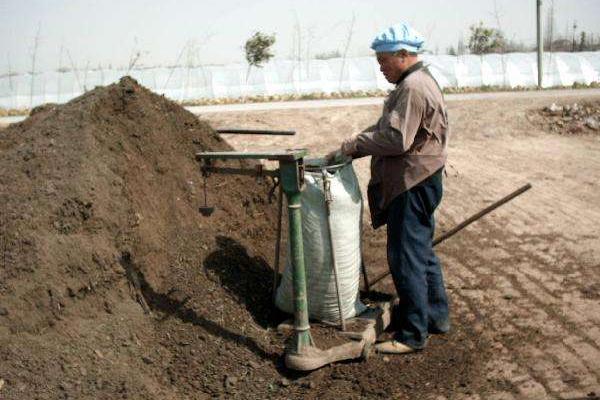 雞糞有機肥多少錢一噸