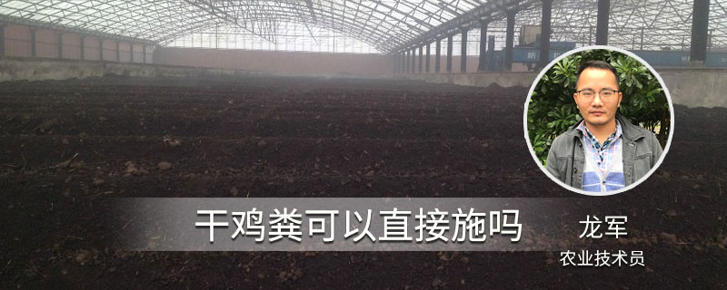 干雞糞可以直接施嗎