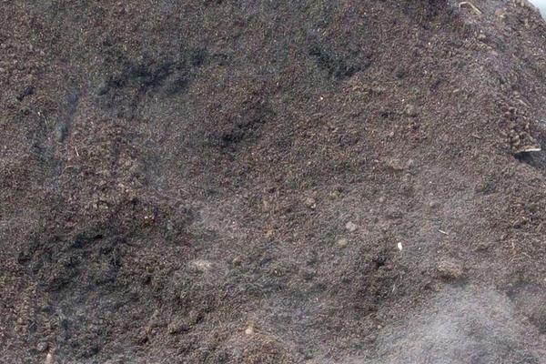 雞糞能養蚯蚓嗎