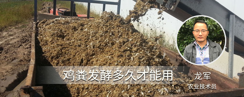 雞糞發(fā)酵多久才能用
