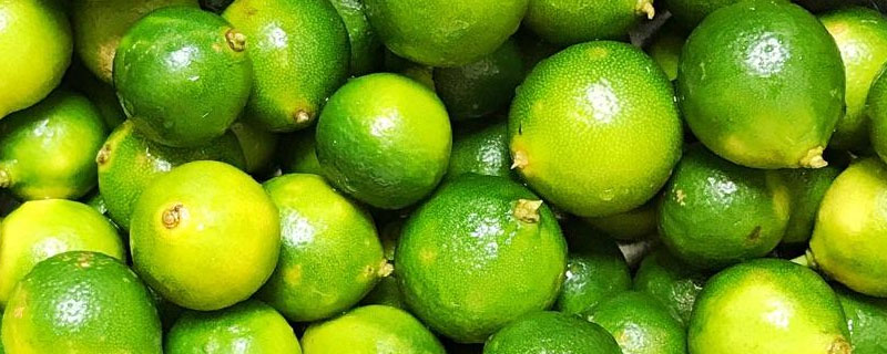 青金桔怎么吃 青金桔的皮可以吃嗎 青金桔的食用方法