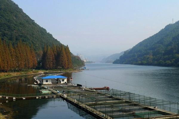 虹鱒魚養(yǎng)殖條件