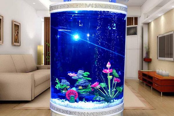 養(yǎng)黑魚(yú)的風(fēng)水