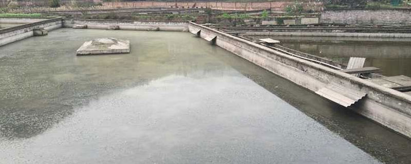 甲魚養殖場建設