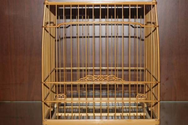 養(yǎng)畫眉用什么籠子