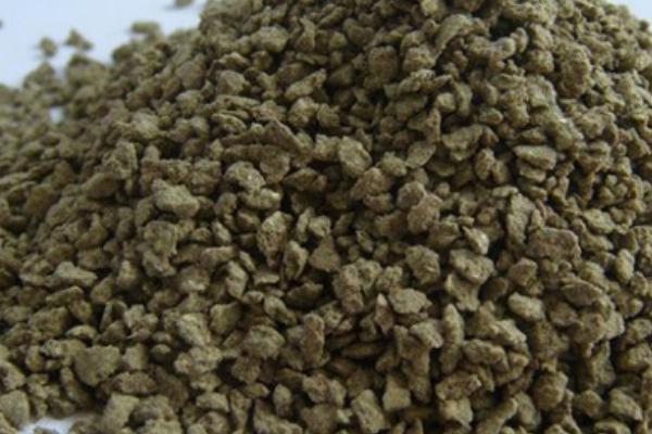 養(yǎng)水蛭吃什么食物