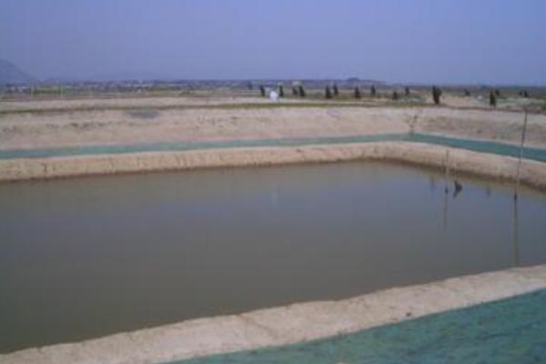 養(yǎng)蝦的池子怎么建