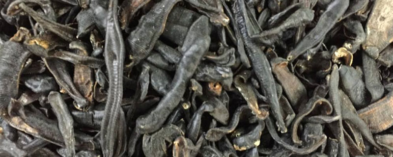 養(yǎng)水蛭有什么用