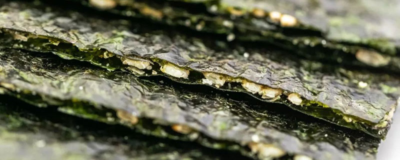 條斑紫菜和普通紫菜的區別是什么 條斑紫菜和紫菜的營養哪個好