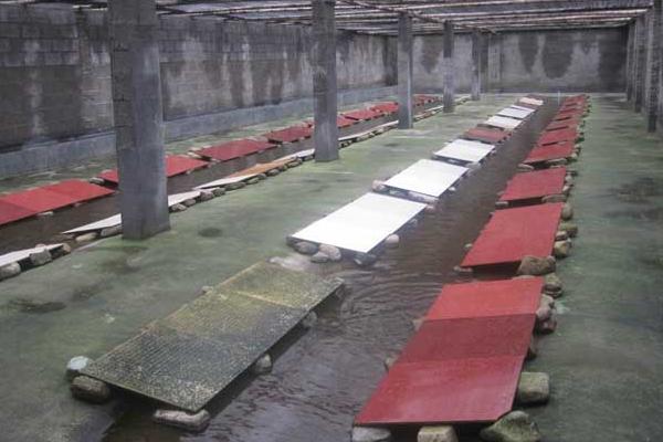 養石蛙要辦什么手續