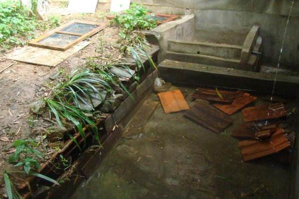 養石蛙要辦什么手續