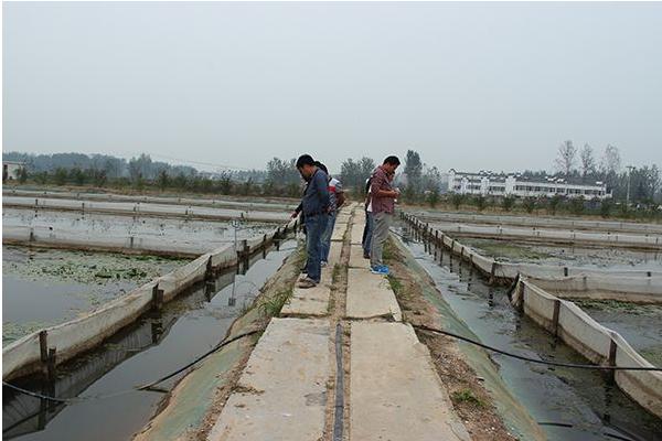 養水蛭的網箱的價格