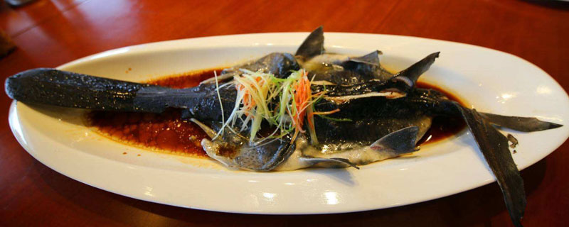 鴨嘴魚的吃法禁忌