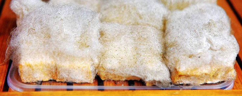 毛豆腐和臭豆腐的區別是什么 毛豆腐和臭豆腐哪個好吃