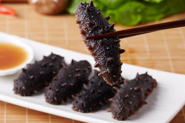 養海參苗賺錢嗎