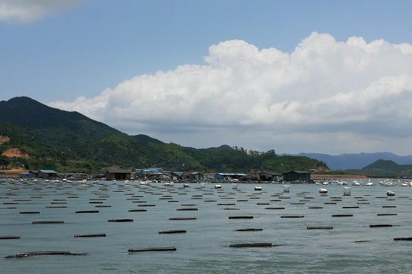 海參怎么養(yǎng)