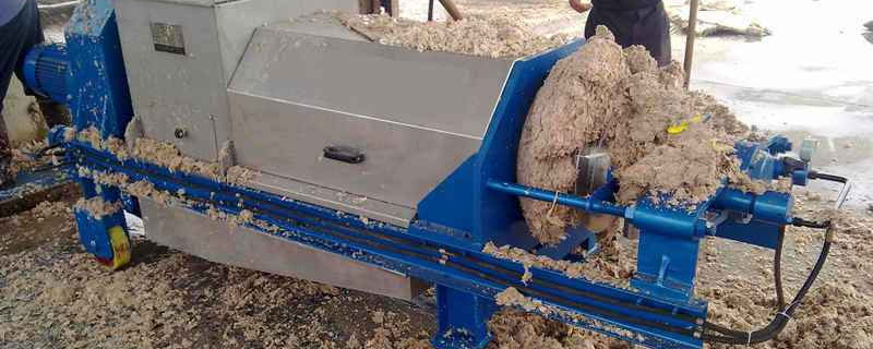 雞糞蟲要怎么處理