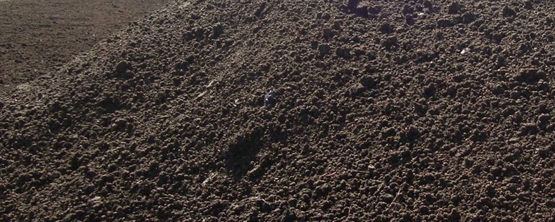 雞糞是磷鉀肥嗎