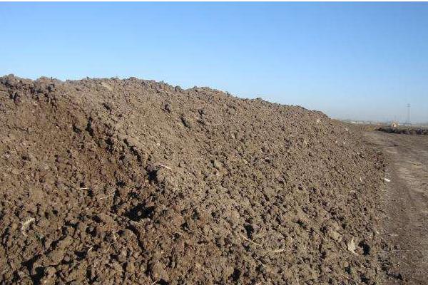 雞糞是磷鉀肥嗎