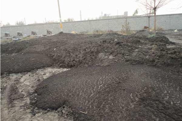 雞糞是磷鉀肥嗎