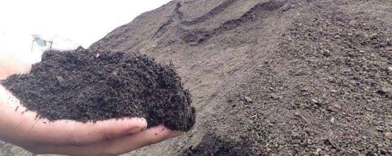 羊糞好還是雞糞好