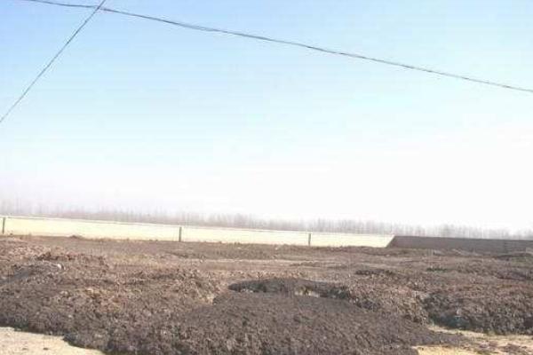 羊糞好還是雞糞好