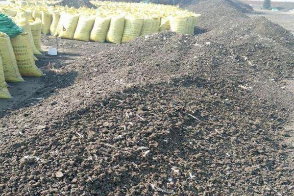 羊糞好還是雞糞好