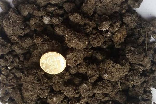 羊糞好還是雞糞好